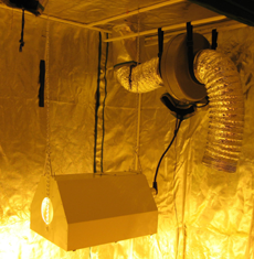 Duct And Vaccum