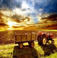 Agriculture
